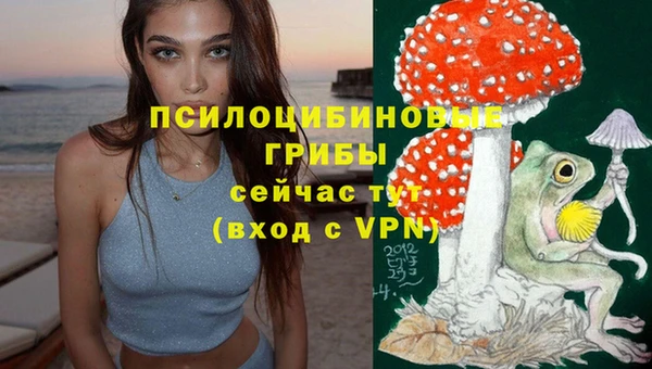 гидропоника Армянск