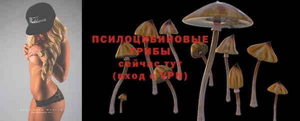 гидропоника Армянск